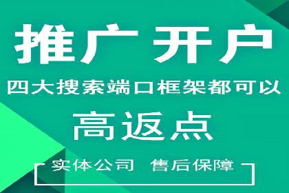 解析SEM投放策略：从经典案例看效果